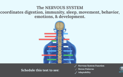 The Health Test Your Pediatrician Isn’t Running (But Should Be)