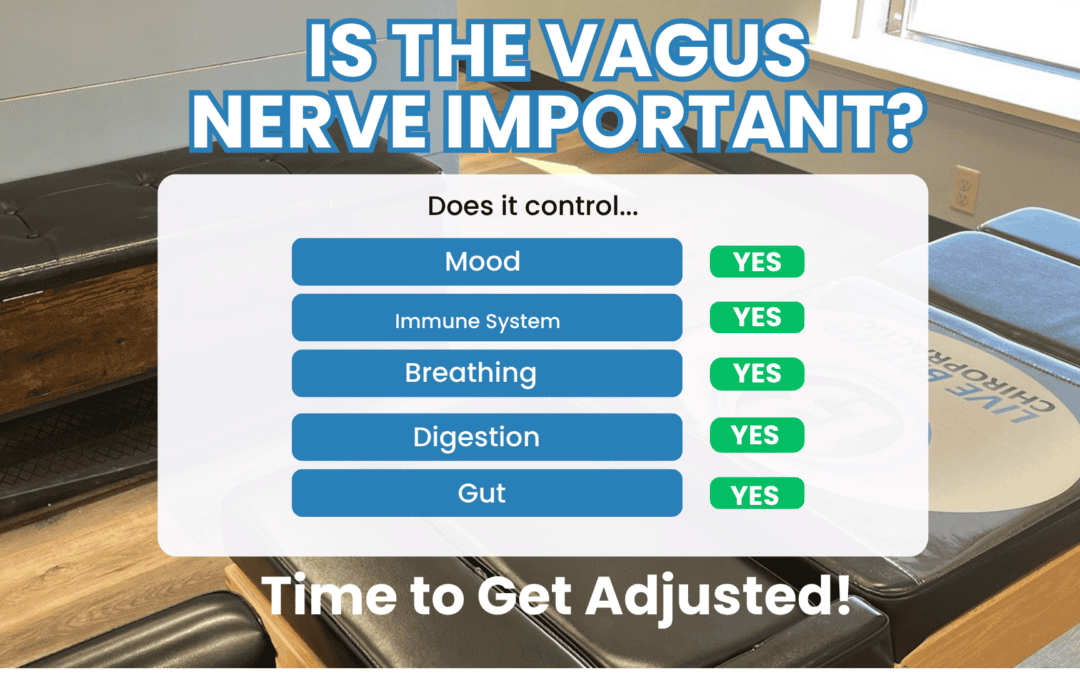 The Root Cause Most Autoimmune Doctors Never Check