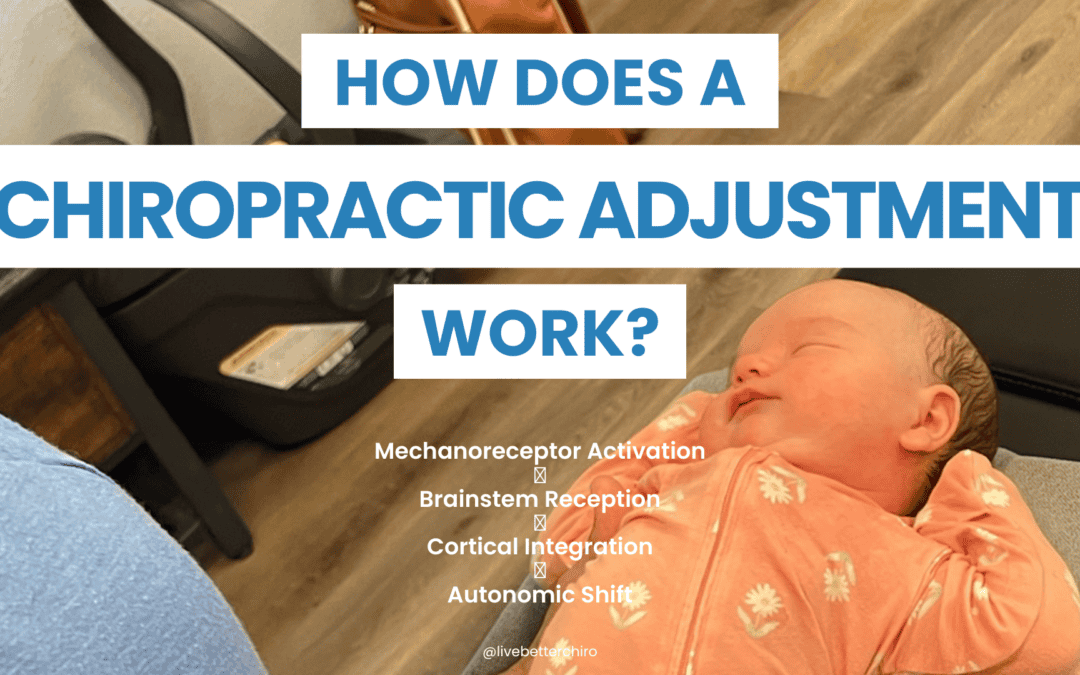 Your Child’s 2-Minute Adjustment Is Doing More Than You Think